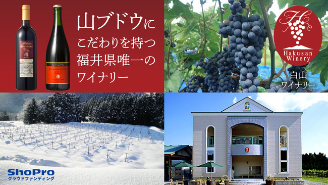 【大注目の日本ワイン】日本全国290社以上のワイナリーが登録する「日本ワインファンサイト」新企画を一挙公開！のサブ画像11
