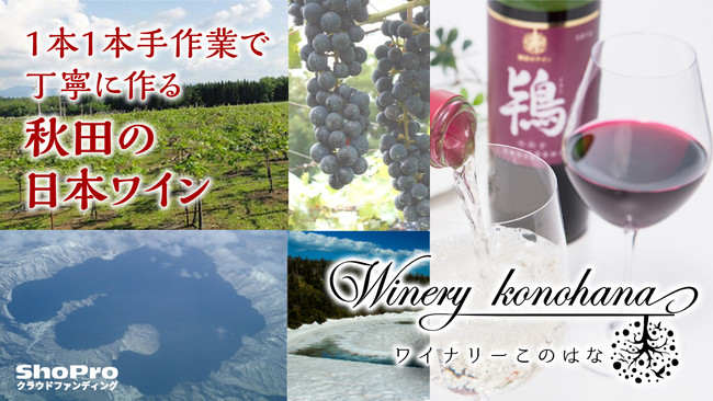 【大注目の日本ワイン】日本全国290社以上のワイナリーが登録する「日本ワインファンサイト」新企画を一挙公開！のサブ画像15