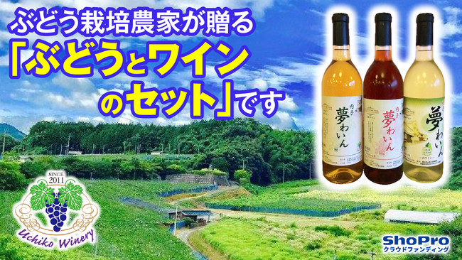 【大注目の日本ワイン】日本全国290社以上のワイナリーが登録する「日本ワインファンサイト」新企画を一挙公開！のサブ画像9