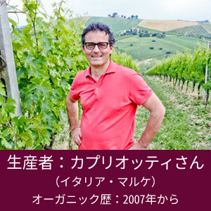 【個性派ワイン】イタリア土着品種の魅力が詰まったオーガニックワイン2種の新発売！のサブ画像7_カプリオッティ家