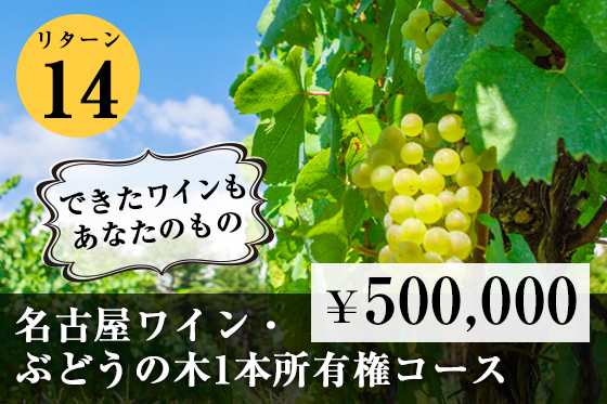 【名古屋ワイン】創設のクラウドファンディングがスタート！！のサブ画像5