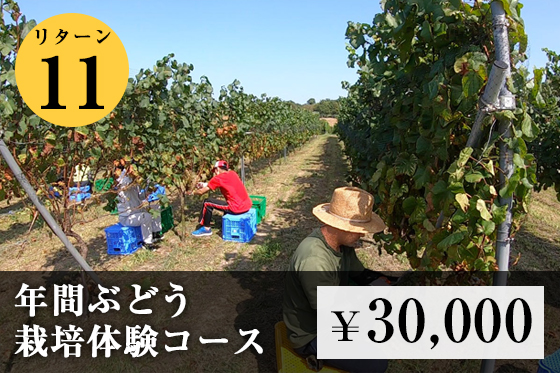 【名古屋ワイン】創設のクラウドファンディングがスタート！！のサブ画像7