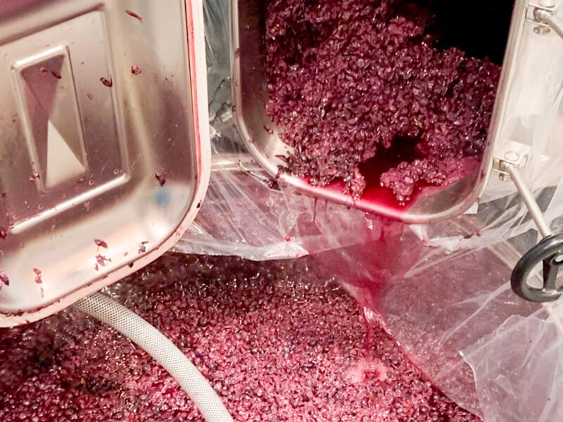 博多ワイン醸造所で初の果汁絞り！のサブ画像2