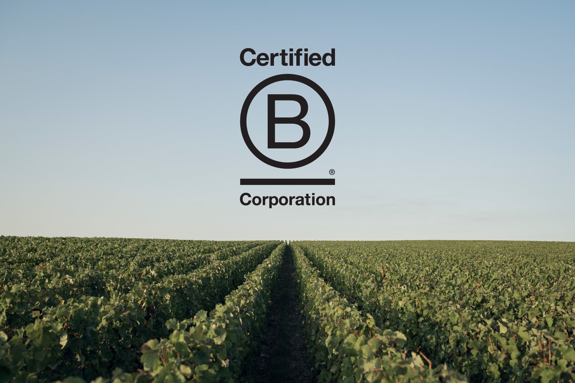 パイパー・エドシック、シャルル・エドシック、レア・シャンパーニュがシャンパーニュで初となるB Corp認証取得のサブ画像1