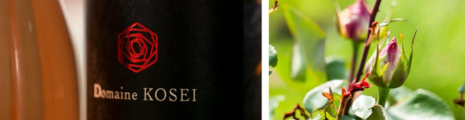 ドメーヌ・コーセイ× wa-syu のコラボレーションワイン 「Velvet Merlot F37 2020 French Oak」ベルベットのような厚みとなめらかさが心地よいメルローが誕生！のサブ画像5