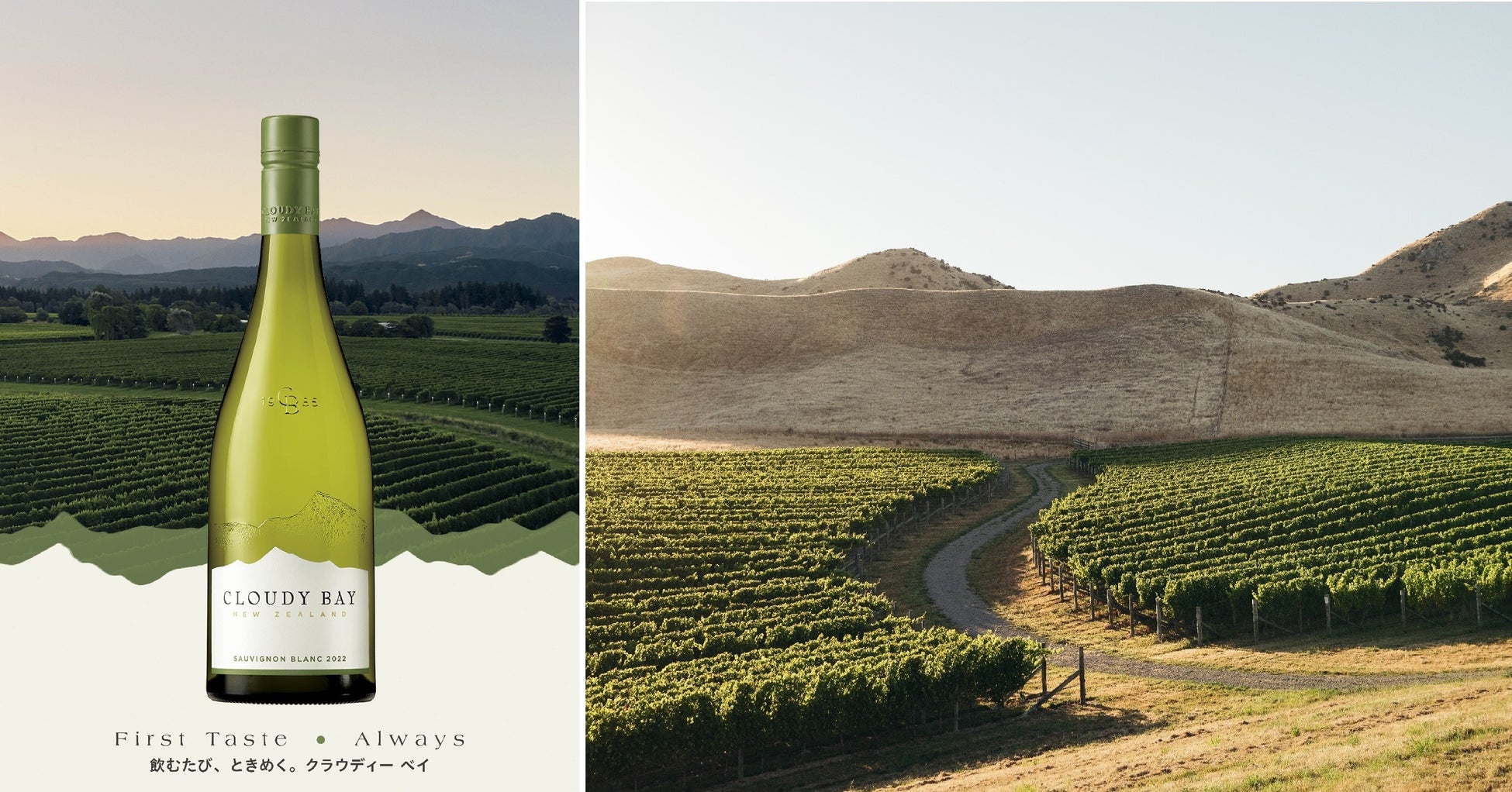 MHD モエ ヘネシー ディアジオ社より、ニュージーランドワイン『クラウディー ベイ ソーヴィニヨン ブラン 2022 』が、ボトルデザインをリニューアルし、2022年11月より順次発売開始のサブ画像1