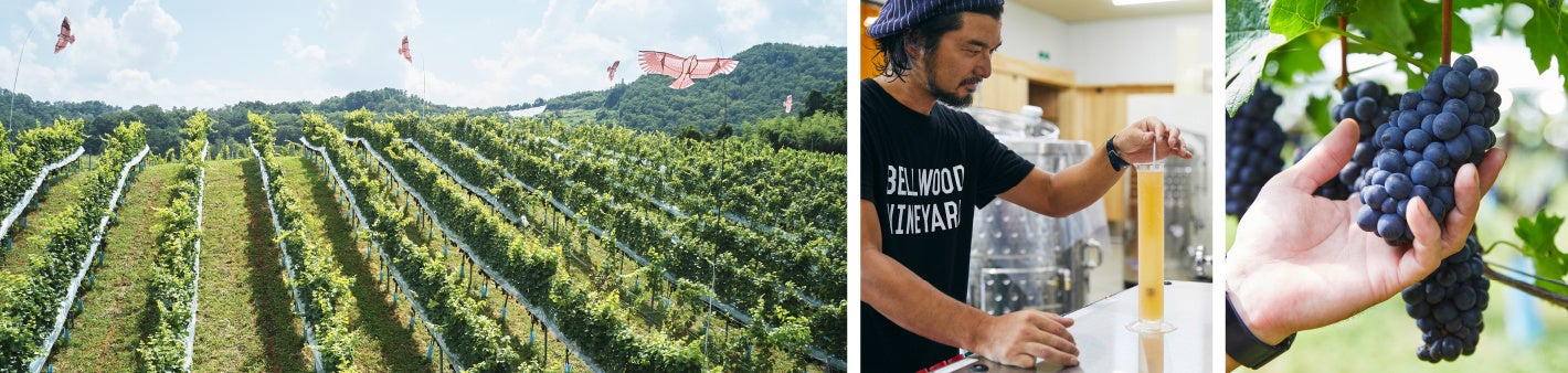 wa-syuに初入荷！気鋭の栽培醸造家の世界観を表現するワイン！山形県上山市「ベルウッドヴィンヤード」のサブ画像4