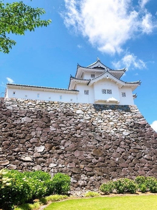 「ふるなび」で、山梨県甲府市が甲府城南側エリアの整備を目的としたクラウドファンディングの寄附受付を開始。のサブ画像2_舞鶴城公園に佇む甲府城