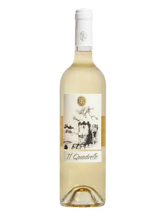 【新発売】イタリア・プーリア州のワイナリー「カンティーナ・ラ・マルケーザ」ワイン5種が日本初上陸のサブ画像1