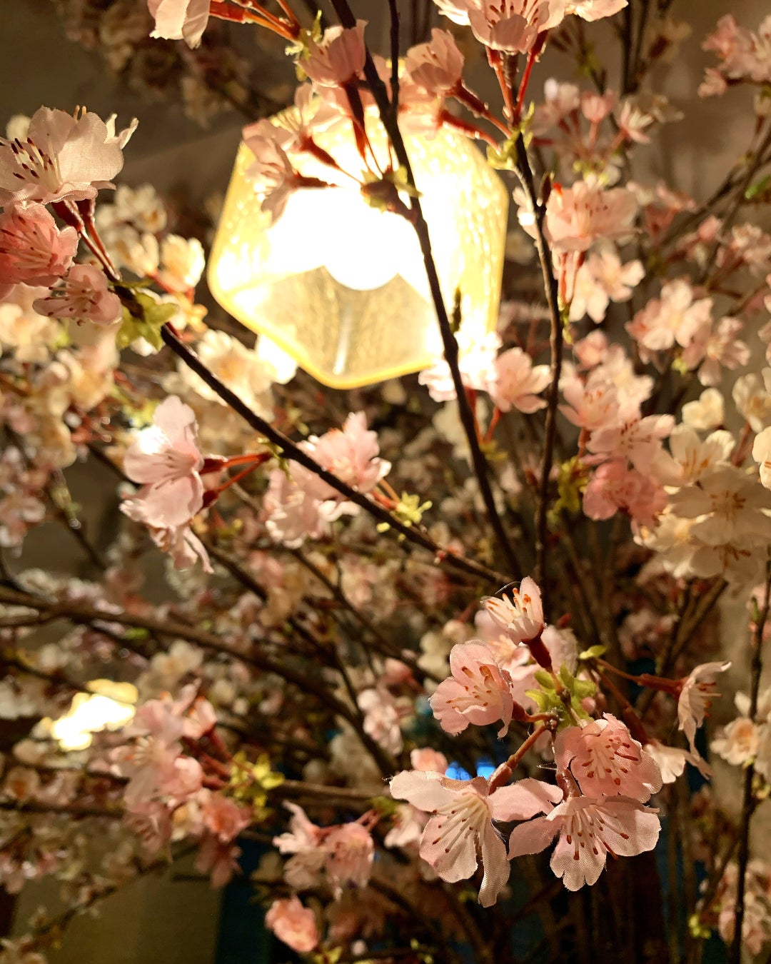 ソファでゆったり“屋内花見”！新宿駅近の隠れ家ダイニングで、雨や寒さや花粉から逃れて快適に、ワイン片手にお花見を！のサブ画像2
