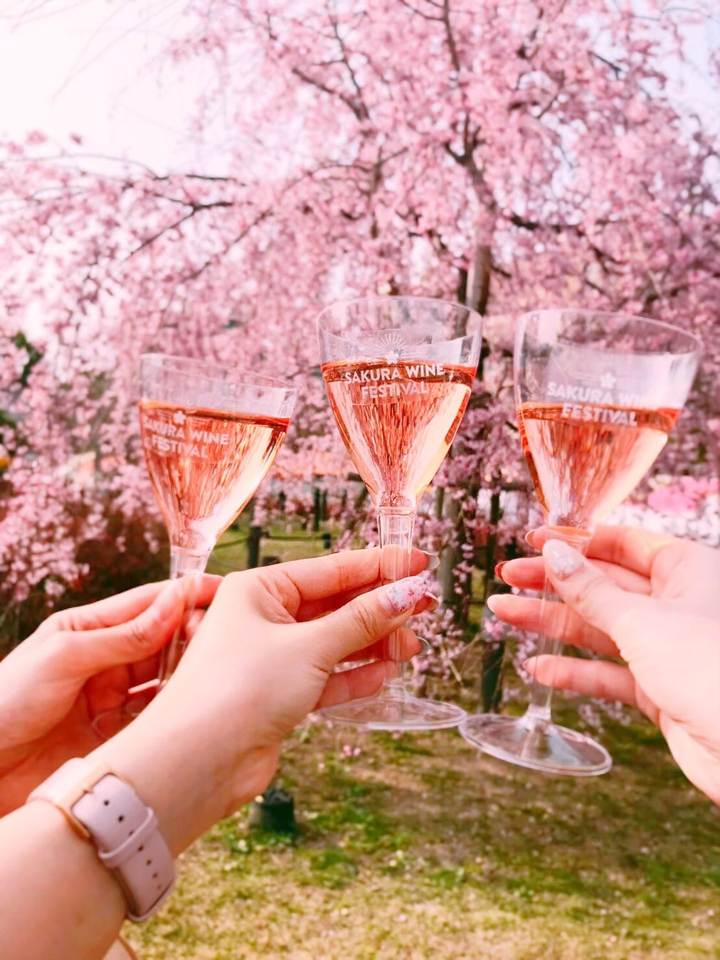 「SAKURA WINE FESTIVAL 2023」 4月1日（土）・2日（日）の2日間、4年ぶりに開催！鶴舞公園に 「ロゼ」を中心に約50種類以上の お花見にピッタリのワインが集まる！のサブ画像2