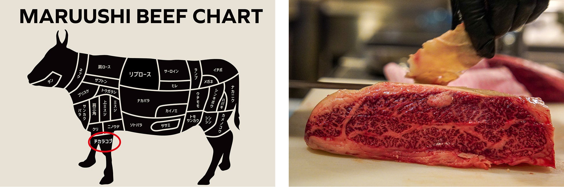 銀座のコスパ焼肉店で幻の希少部位が食べられるのは今だけ！《期間限定》マルウシミート「宮崎牛＆宮崎ワインフェア」5月16日（火）より全店舗で開催のサブ画像2