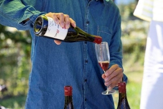 JALで行く 余市ラフェト2023北海道余市町ワインイベント 「ラフェト・デ・ヴィニュロン・ア・ヨイチ （農園開放祭）」6月27日（火） 12：00発売開始のサブ画像4_イメージ