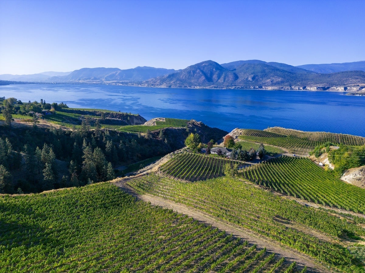 世界シェア0.3%、”世界で最も知られていない優れたワイン産地”と呼ばれているカナダの厳選ワインと共に、日本のカナダワイン輸入販売のパイオニアであるHeavenly VinesがMakuake初登場のサブ画像10