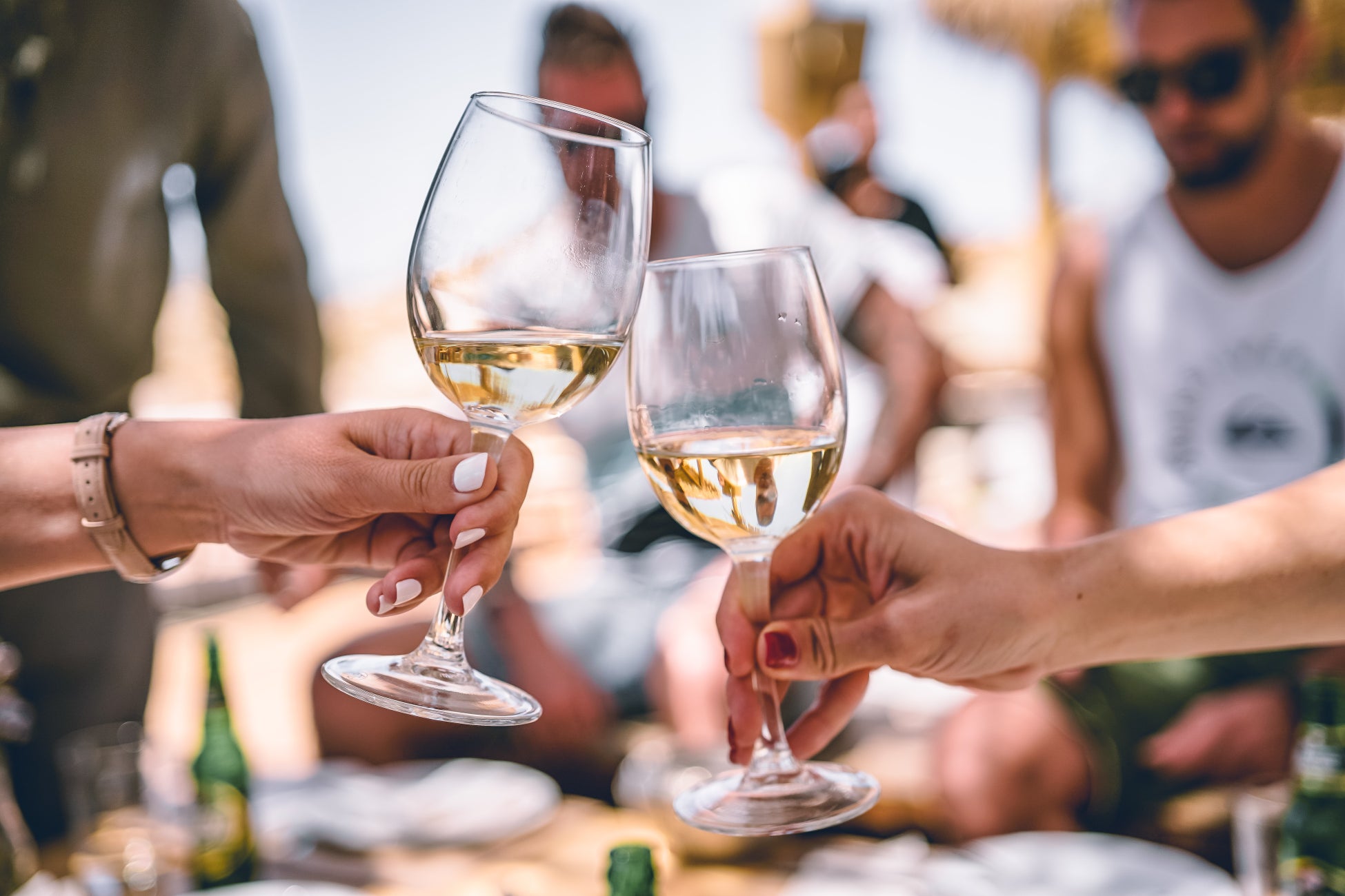 世界シェア0.3%、”世界で最も知られていない優れたワイン産地”と呼ばれているカナダの厳選ワインと共に、日本のカナダワイン輸入販売のパイオニアであるHeavenly VinesがMakuake初登場のサブ画像11