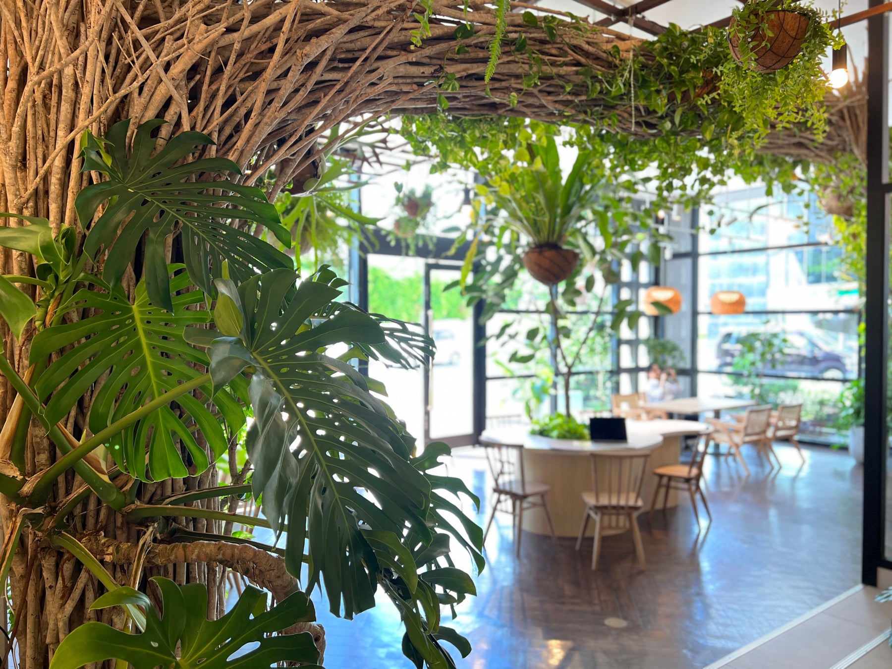 園芸YouTuberが沖縄で植物だらけのカフェを作りシングルマザーへ支援を開始！のサブ画像1