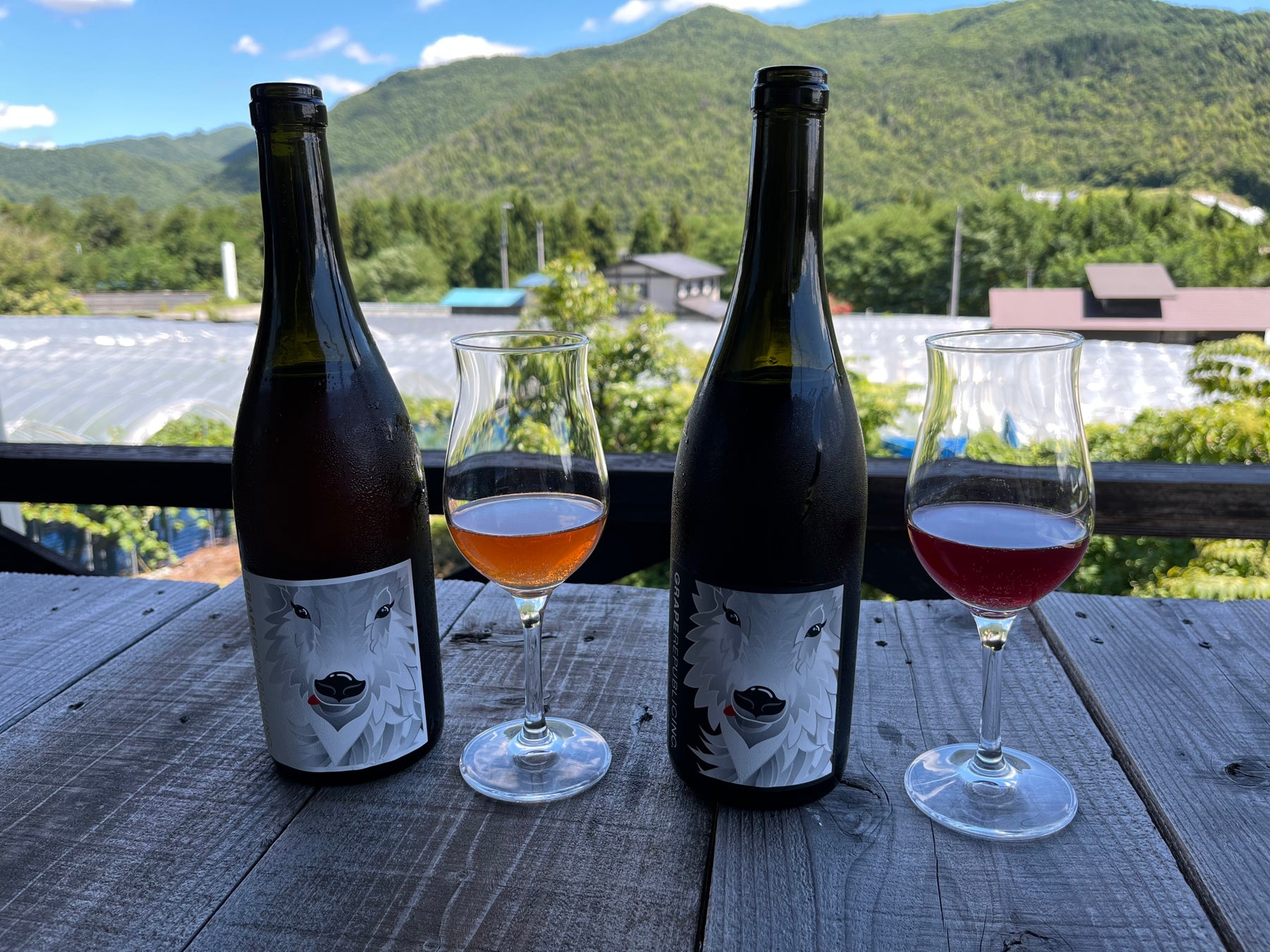 ⼭形の⾃社農園で有機栽培したブドウを使ったナチュラルワイン「numero tre 2021」と「 numero uno 2021」を9月14日（木）に発売開始のサブ画像6_オレンジ色がかった「numero uno 2021」（左）と、淡い赤色の「numero tre 2021」（右）。