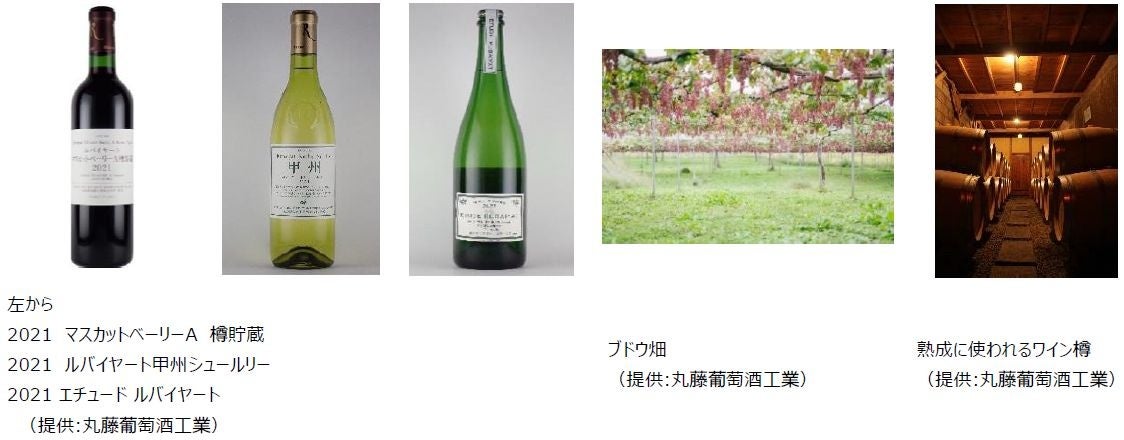 ANA Xと山梨県の丸藤葡萄酒工業が連携！日本ワインの認知向上を目的に、ANA現役CAのソムリエと訪ねる、日本のワイナリー見学ツアーin山梨を発売のサブ画像3
