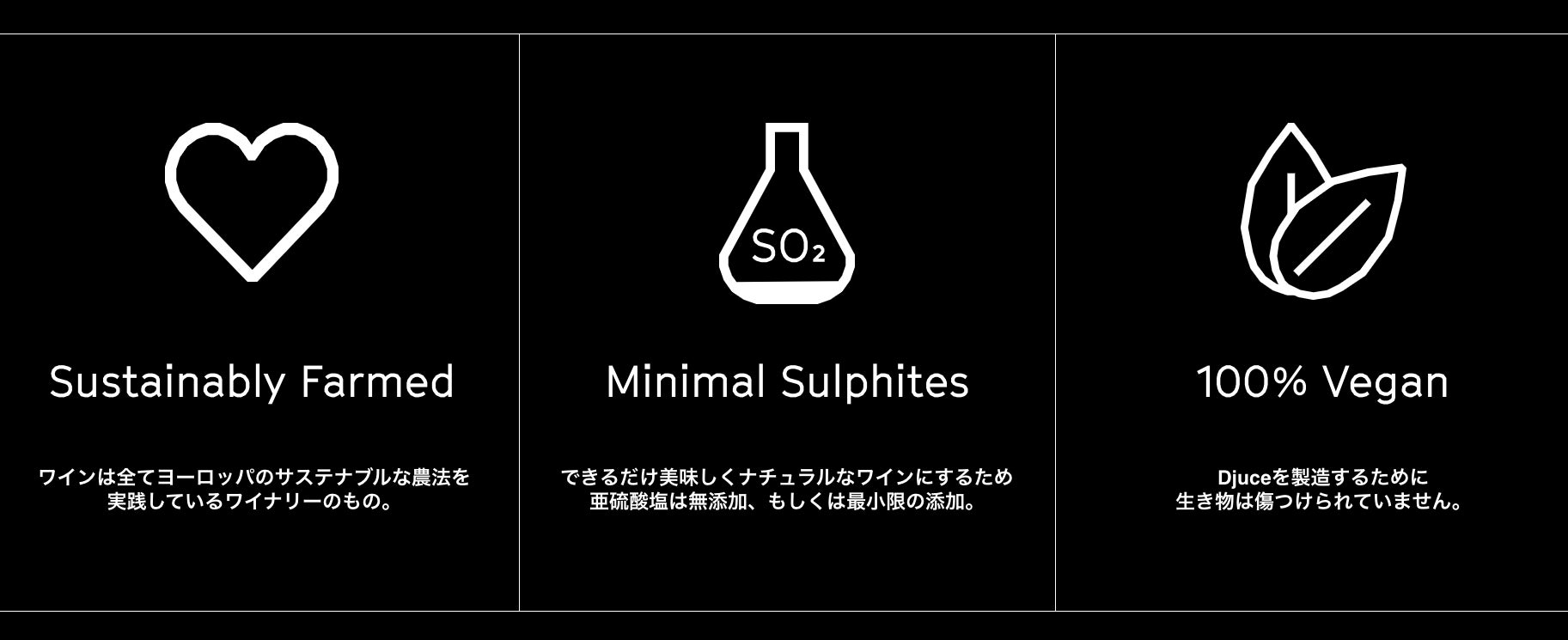 【⾃然派ワイン x 持続可能生 x アート】の融合によるクールでお洒落なワインブランド「Djuce」が⽇本初上陸のサブ画像5