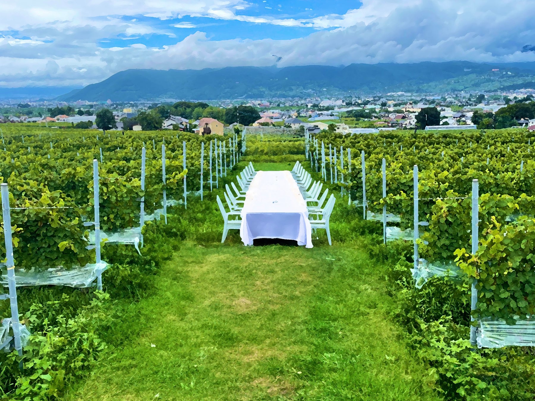 日本一のワイン産地の歴史と文化を食で楽しむ新たな体験「Wine & Food Festival Yamanashi」のサブ画像7