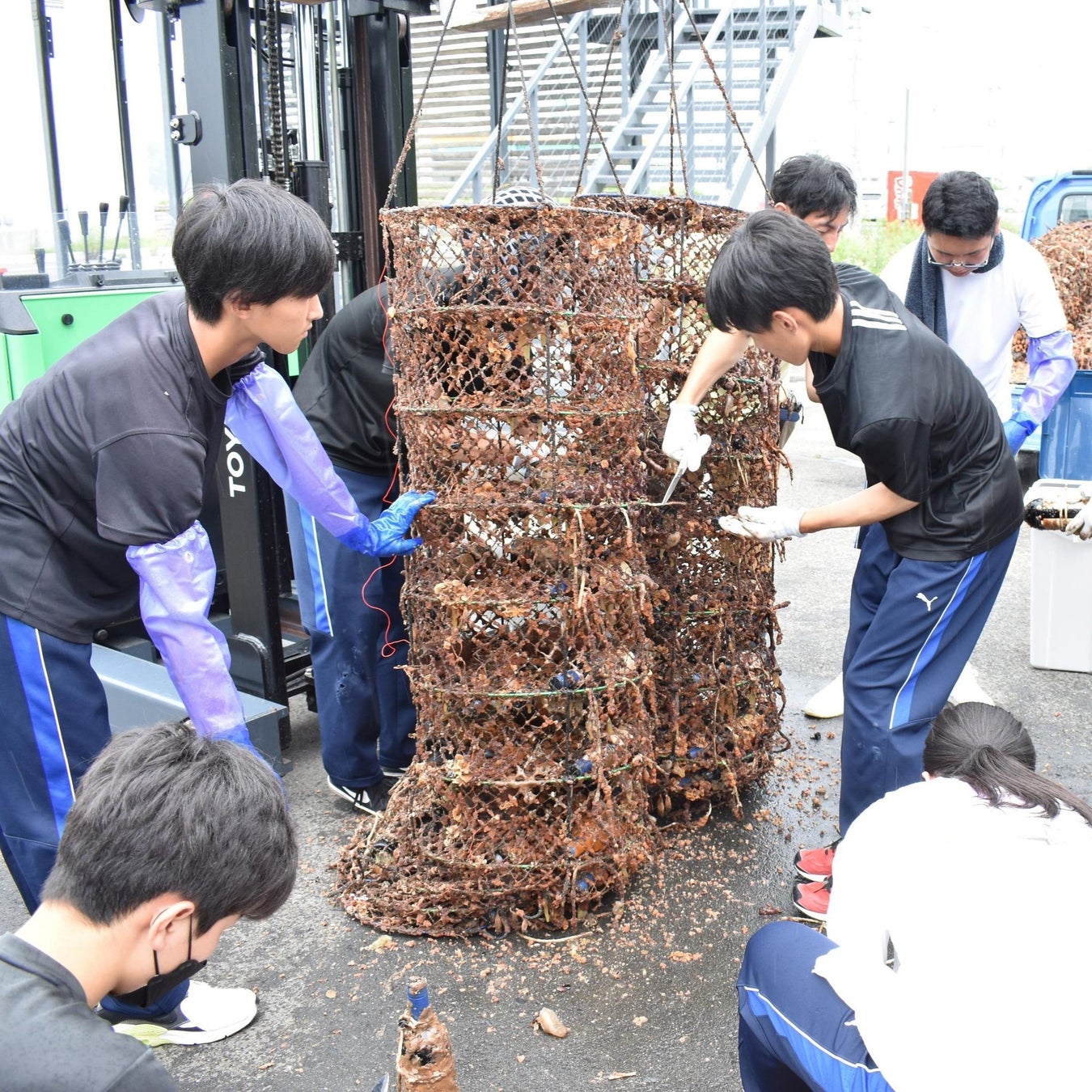 【志津川高校（南三陸高校）創立100周年記念事業】学生がラベルデザインした「記念ワイン」「記念シードル」発売のサブ画像5_海中熟成ワイン引き上げ