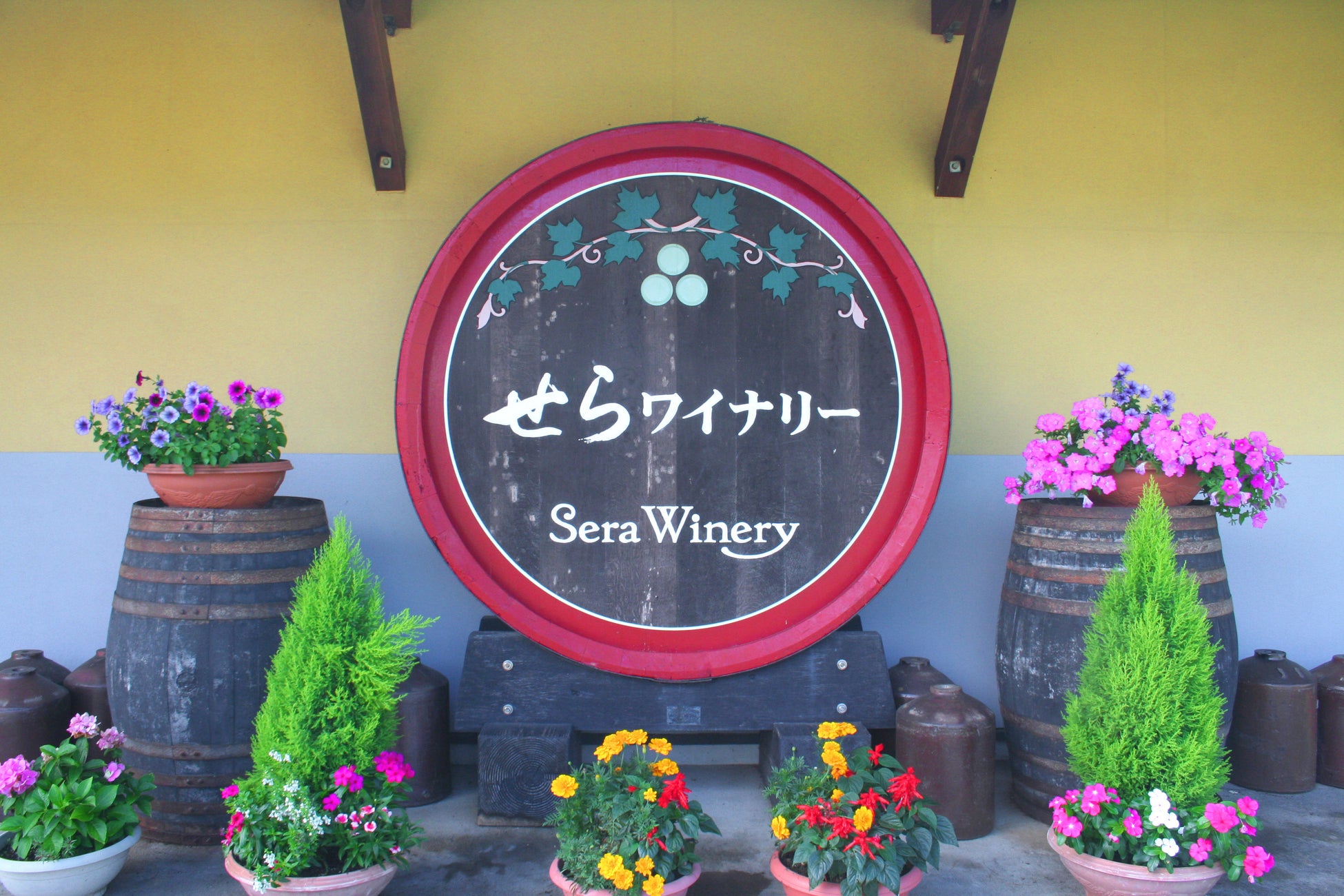 わいんびと、日本ワイン生産者「せらワイナリー」のメッセージ動画を配信スタート。のサブ画像5