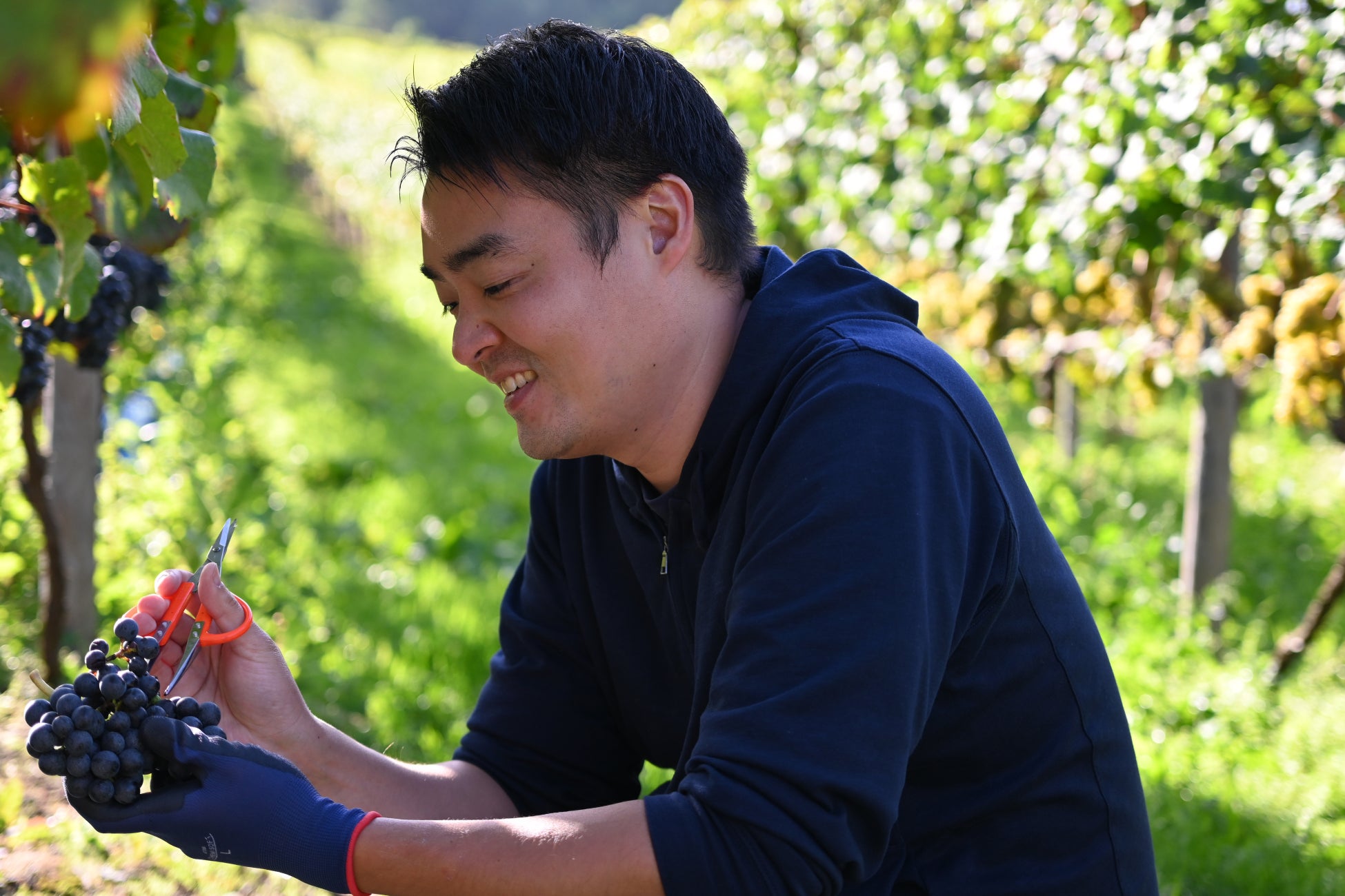 ワインのような風味が広がる、北海道のクラフトジン「HOKKAIDO WINEGIN」販売開始のサブ画像6