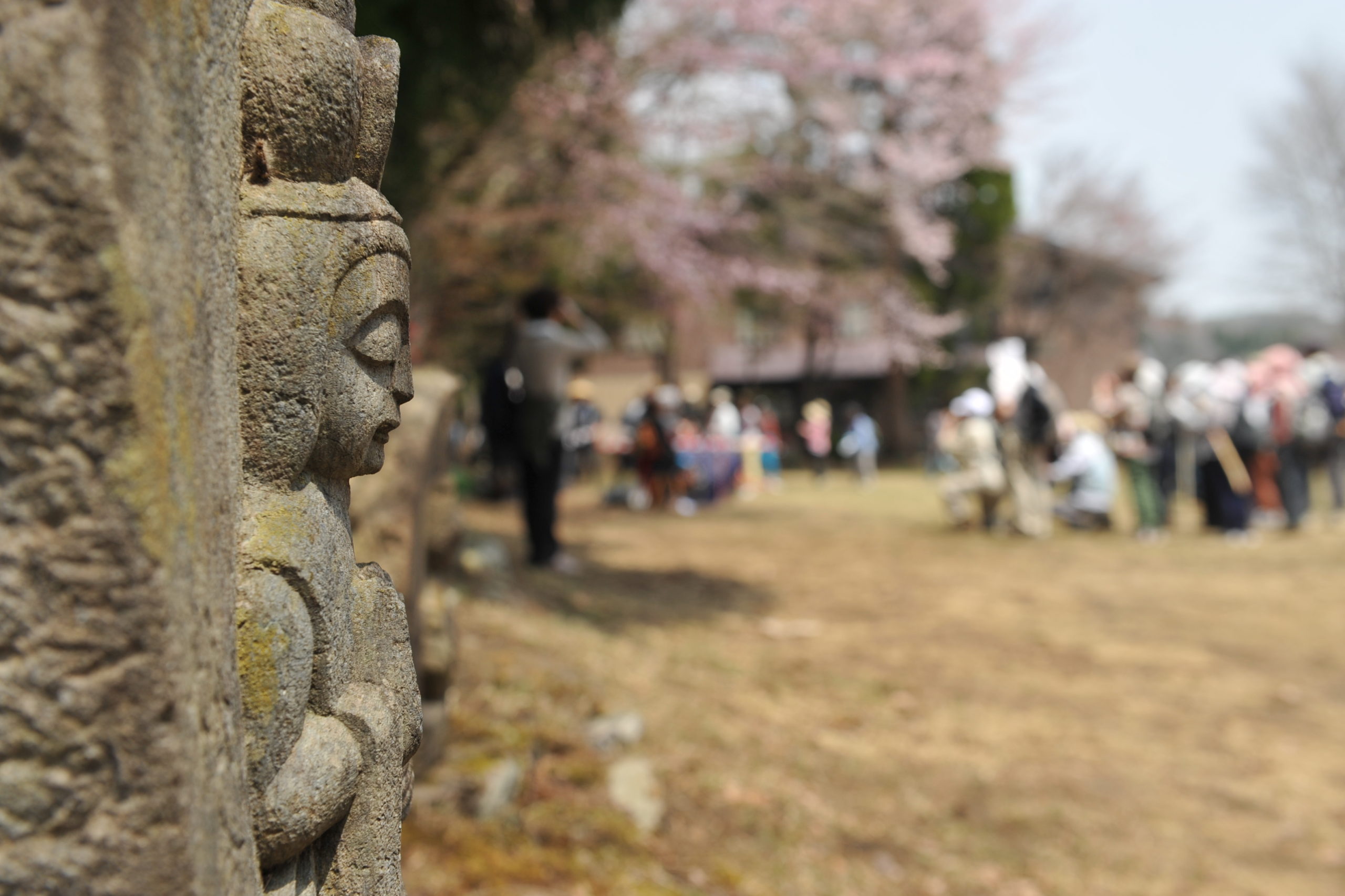 白馬村GWイベント「GREEN HAKUBA」今年も開催！のサブ画像3