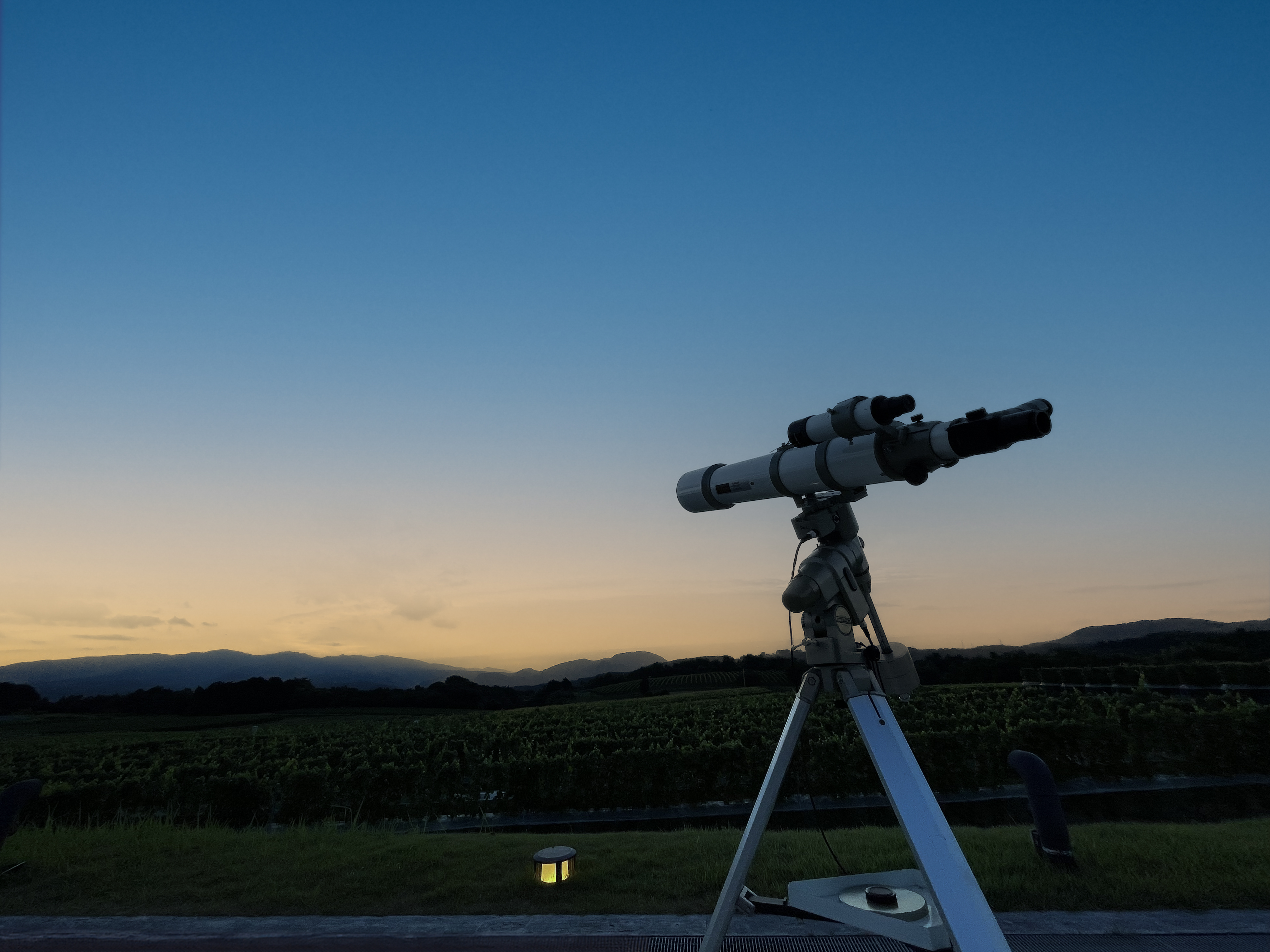 【中伊豆ワイナリーヒルズ】満天の星をイメージした「星空のアフタヌーンティー」を　7月13日より提供開始のサブ画像4_イメージ