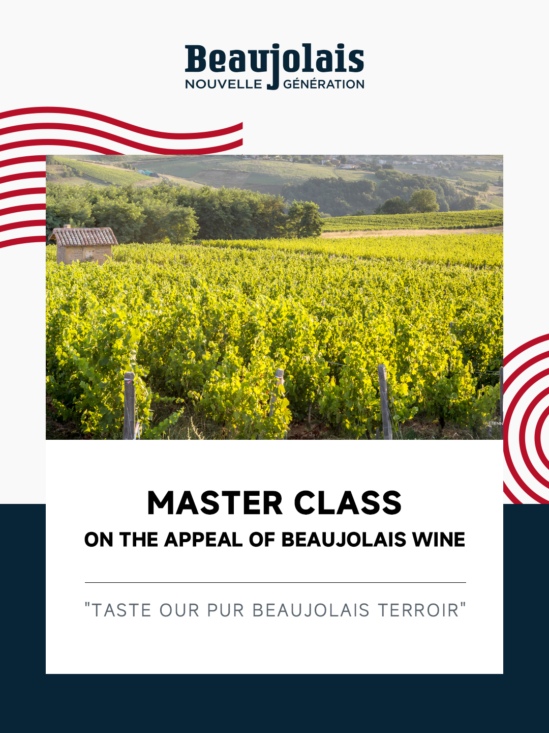 ボジョレーはヌーボーだけじゃない。ボジョレーワインの魅力に迫るマスタークラス「Taste our Pur Beaujolais Terroir」6月17日（月）八芳園で開催のサブ画像1